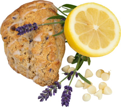 Close-up of a tender lavender lemon cream scone with a light lemon glaze and dried lavender garnish, baked from The Scone Goddess mix